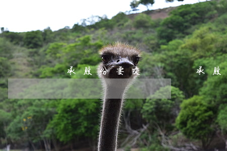 繼承股份要交稅嗎(繼承股份需要交稅嗎)