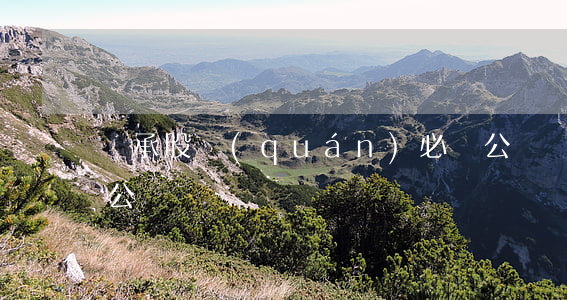 繼承股權(quán)必須公證嗎(股票繼承公證)