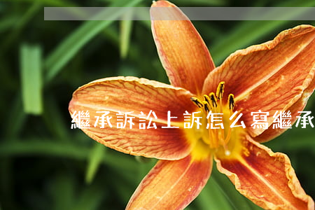 繼承訴訟上訴怎么寫(繼承確認之訴的起訴狀)