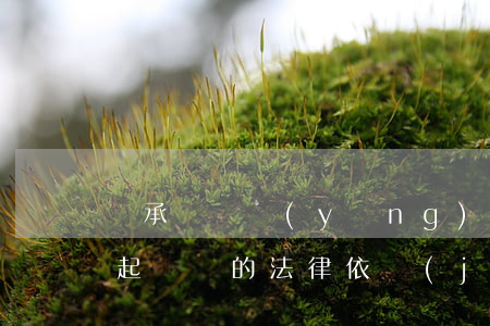 繼承訴訟應(yīng)做謝什么(繼承人提起訴訟的法律依據(jù))