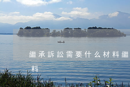 繼承訴訟需要什么材料(繼承立案需要什么資料)