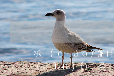 繼承調(diào)解什么時(shí)候進(jìn)行(繼承調(diào)解書)