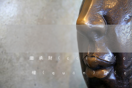 繼承財(cái)產(chǎn)怎么繼承權(quán)(財(cái)產(chǎn)繼承法繼承順序)