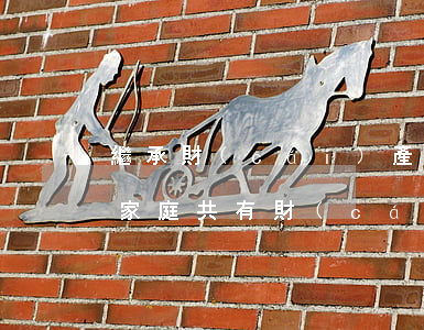繼承財(cái)產(chǎn)是共有嗎(家庭共有財(cái)產(chǎn)的繼承)