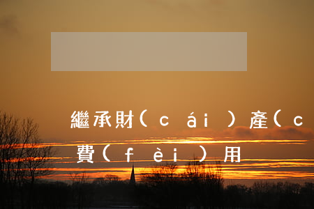 繼承財(cái)產(chǎn)需要什么費(fèi)用