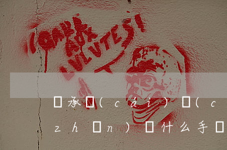 繼承財(cái)產(chǎn)需要準(zhǔn)備什么手續(xù)(財(cái)產(chǎn)繼承去哪里辦理)