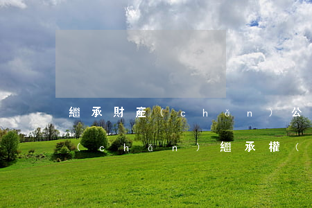 繼承財產(chǎn)公證處怎么收費(財產(chǎn)繼承權(quán)公證的費用)