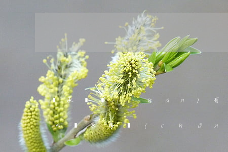 繼承財產(chǎn)有年限嗎(多少歲才可以繼承房產(chǎn))