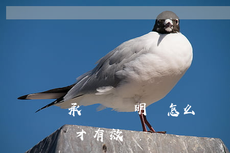 繼承財產聲明書怎么寫(繼承財產協議書怎么寫才有效)