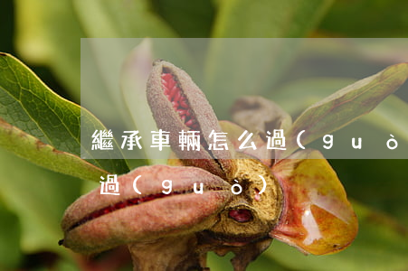 繼承車輛怎么過(guò)戶(繼承車輛怎么過(guò)戶)