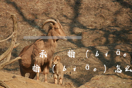 繼承車輛指標(biāo)怎么辦(繼承車輛指標(biāo)怎么辦)