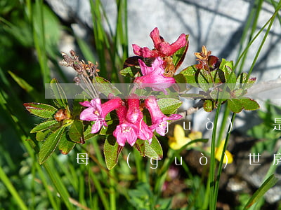 繼承過(guò)戶是父母離世才能辦嗎(父母過(guò)世房產(chǎn)如何繼承過(guò)戶需要費(fèi)用)