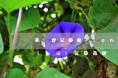 繼承過世父母房產(chǎn)公證什么手續(xù)(父母去世財產(chǎn)公證需要什么手續(xù))