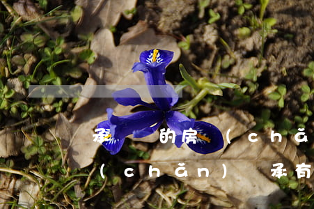 繼承過戶的房產(chǎn)有有期限嗎(房產(chǎn)繼承有期限嗎?)