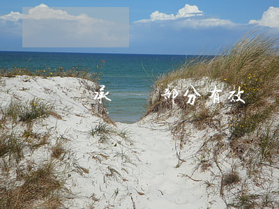 繼承遺囑部分有效嗎