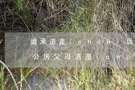 繼承遺產(chǎn)后能否住公租房嗎(住公房父母遺產(chǎn)可以繼承嗎)