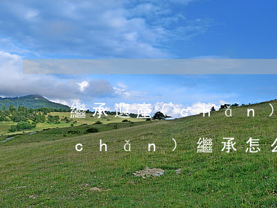 繼承遺產(chǎn)怎么才算個人(遺產(chǎn)繼承怎么寫算合法)