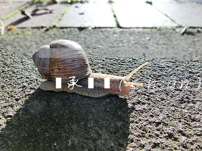 繼承遺產(chǎn)怎么能少交錢