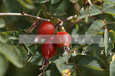 繼承遺產(chǎn)怎么計算(遺產(chǎn)繼承怎么寫算合法)