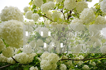 繼承遺產(chǎn)承諾書(遺產(chǎn)繼承協(xié)議書范本2019)