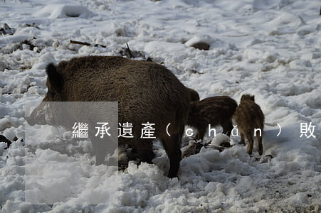繼承遺產(chǎn)敗訴的案例
