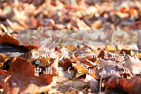 繼承遺產(chǎn)是繼受取得嗎(繼承法中遺產(chǎn)繼承)