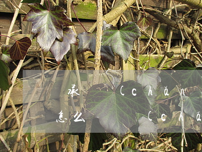 繼承遺產(chǎn)申請(qǐng)書怎么寫(遺產(chǎn)繼承聲明書怎么寫)