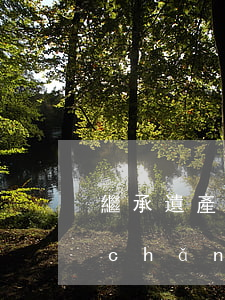 繼承遺產(chǎn)要交什么費用(遺產(chǎn)繼承需要交什么費用)