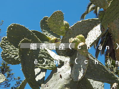 繼承遺產(chǎn)證明怎么填寫(xiě)(遺產(chǎn)繼承申請(qǐng)書(shū)怎么寫(xiě))