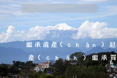 繼承遺產(chǎn)超過20年怎么辦(遺產(chǎn)繼承買賣需要滿兩年嗎)