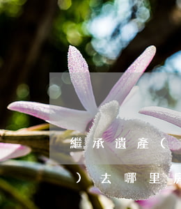 繼承遺產(chǎn)需要什么手續(xù)去哪里(房產(chǎn)遺產(chǎn)繼承要什么手續(xù))