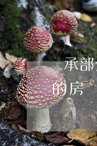 繼承部分房產(chǎn)怎么處理(被繼承的房產(chǎn)如何出售)