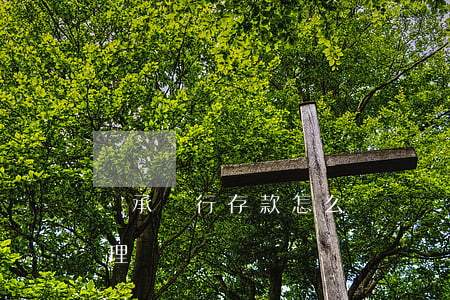 繼承銀行存款怎么過戶(銀行存款過戶怎樣辦理)