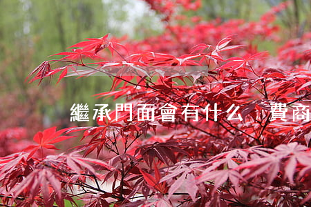 繼承門面會有什么稅費(商鋪繼承需要交多少稅)