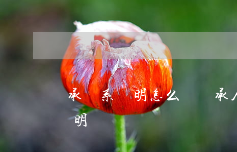 繼承關系證明怎么開(繼承人與被繼承人關系證明)