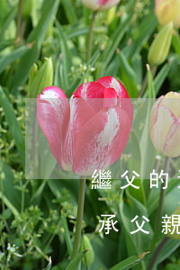 繼父的遺產(chǎn)怎么繼承(繼子能繼承父親遺產(chǎn)嗎)