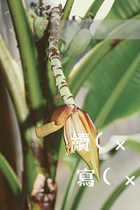 續(xù)借的借條應(yīng)該怎么寫(xiě)(續(xù)借的借條應(yīng)該怎么寫(xiě))