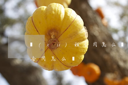 續(xù)租合同怎么寫(店鋪續(xù)租合同怎么寫)