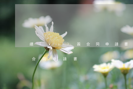 續(xù)簽合同申請書(個人續(xù)簽合同申請書)