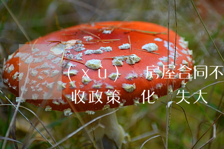 續(xù)簽房屋合同，不關(guān)注稅收政策變化損失大
