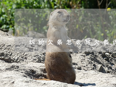 纠纷欠条怎么写(欠条诉讼请求怎么写)