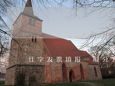 红字发票填报一般分为哪几种情况