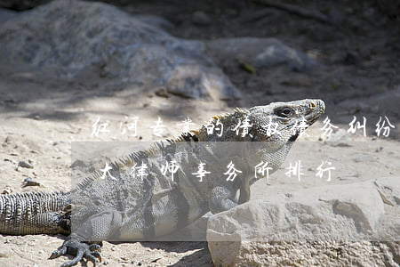 红河专业的债权债务纠纷律师推荐-红河十大律师事务所排行
