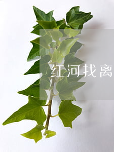 红河找离婚纠纷律师(红河律师咨询电话)