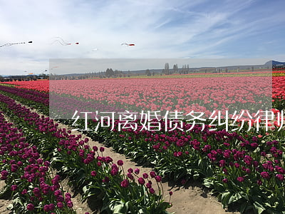 红河离婚债务纠纷律师(蒙自离婚律师推荐)