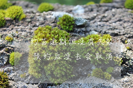 约苗逾期但没有失效怎么再次预约-约苗上预约后没去会取消吗