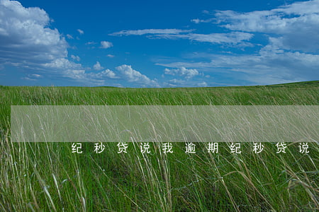 纪秒贷说我逾期(纪秒贷说我逾期)