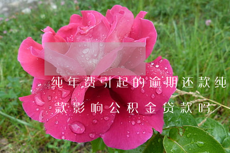 纯年费引起的逾期还款(纯年费引起的逾期还款影响公积金贷款吗)