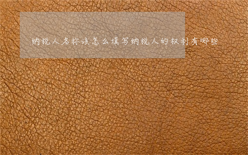 纳税人名称该怎么填写（纳税人的权利有哪些）