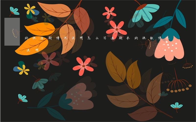 纳税逾期情况说明怎么写（逾期未纳税款情况说明）